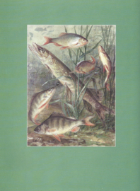 Kinderen van het platteland – Jan A. Niemeijer - 1998