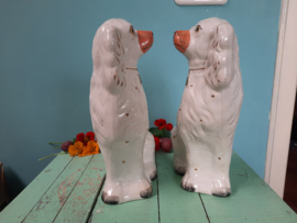 Schouwhondjes (Hoerenhondjes)