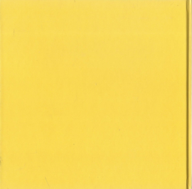 OUD-VOSSEMEER IN VROEGER TIJDEN – Kees de Koning - 1997