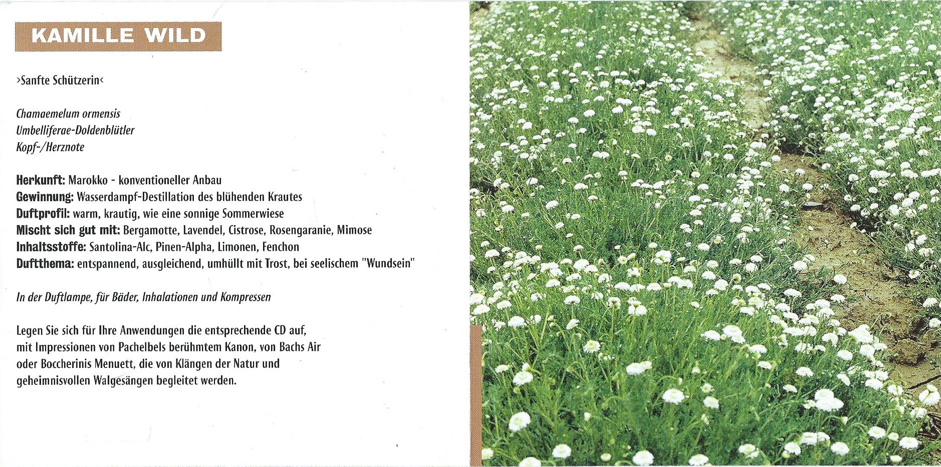 CD – KLANG ESSENZEN – Beruhigung - 1999