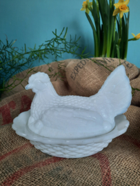 Opaline kip op mand