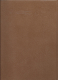 IDEALS GLI IDEALI LES IDEAUX IDEALEN IDEALE - 1985
