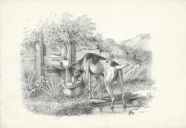 set van 3 prenten – naar tekeningen van JOHANN ADAM KLEIN (1792-1875)