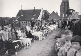 Kent u ze nog . . . de Zierikzeeënaars deel 1 – C.P. Pols – 1973