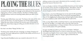 CD – Various – PLAYING THE BLUES - 1994