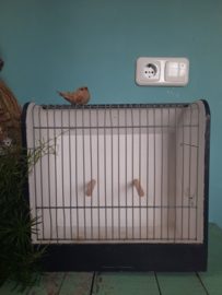 Tentoonstellingskooi
