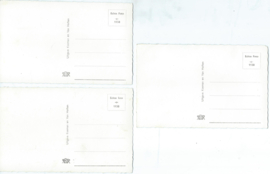 SET van  3 ansichtkaarten – Bussum, de Franse Kamp