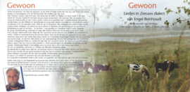 CD – Engel Reinhoudt – Gewoon - 2002