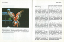 papegaaien – VOLIÈREGIDS IN KLEUR - 1981