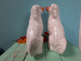 Schouwhondjes (Hoerenhondjes)