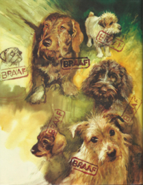 Braaf – Rien Poortvliet - 1983