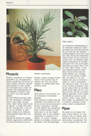 modern kamerplanten boek – daan smit - 1975