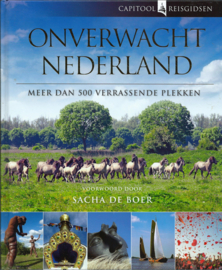 ONVERWACHT NEDERLAND - Bartho Hendriksen - 2014
