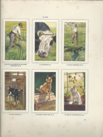 DE BOERDERIJ DOOR H.E. KUYLMAN - 1936