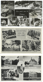 SET van 3 ansichtkaarten – Veluwe - 1955