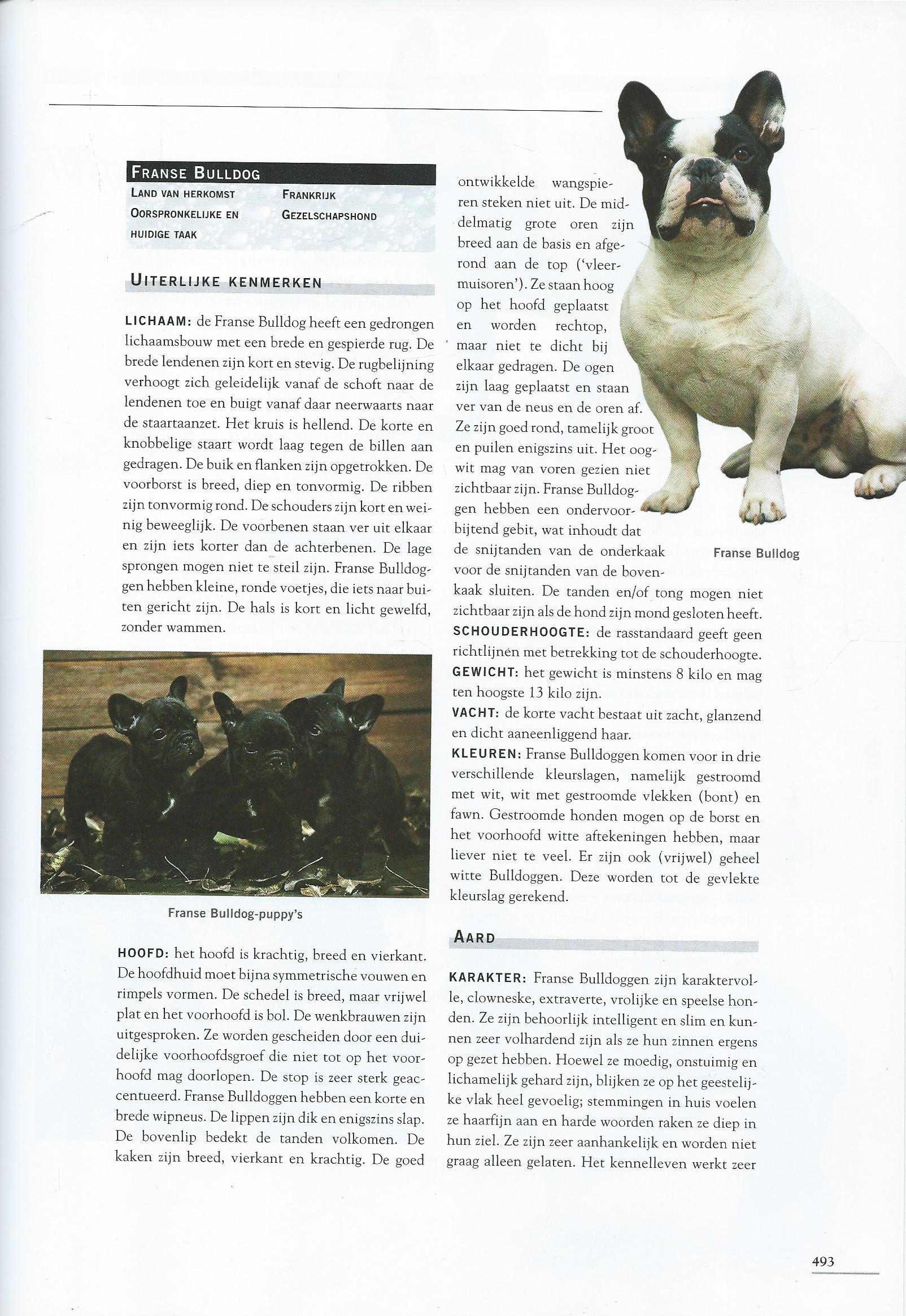 DE GROTE HONDEN ENCYCLOPEDIE - Esther Verhoef - 2007
