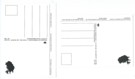 SET van 2 ansichtkaarten – IJsland