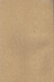 Jonge Helden – EEN GESCHIEDENIS UIT OUD-GENEVE - DEBORAH ALCOCK - 1924