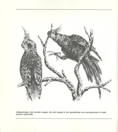 Valkparkieten – Ruud Haak e.a. - 1985