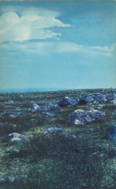 NOOIT MEER SLAPEN – Willem Frederik Hermans - 1970