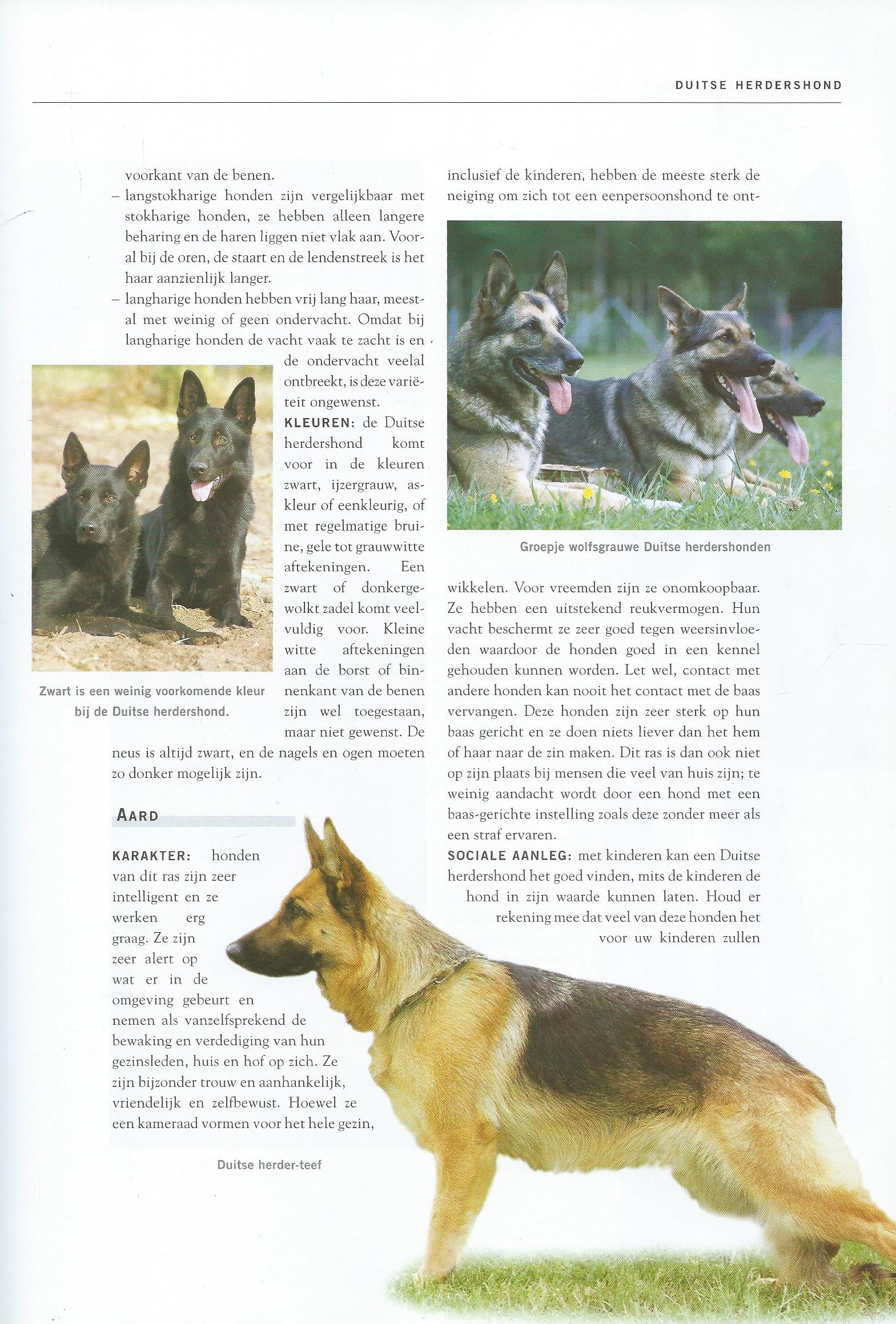 DE GROTE HONDEN ENCYCLOPEDIE - Esther Verhoef - 2007