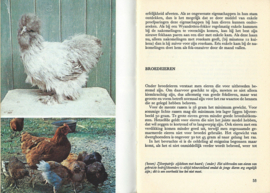 Hoenders – C.S.TH. VAN GINK – 1974