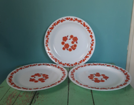 Dinerborden Arcopal Lotus