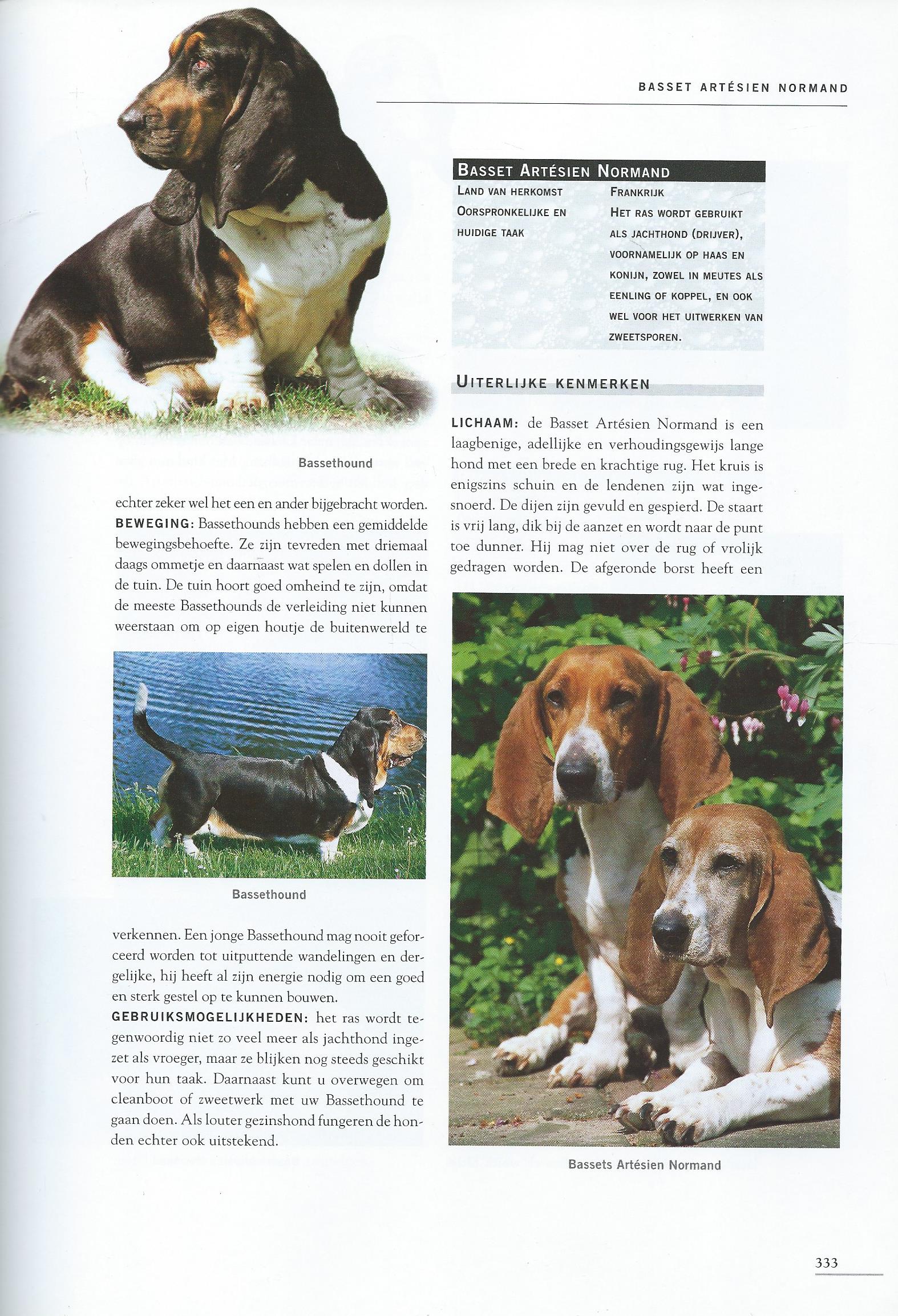 DE GROTE HONDEN ENCYCLOPEDIE - Esther Verhoef - 2007