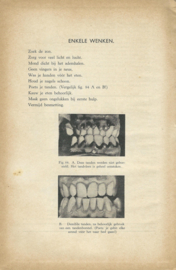 LEVENSVREUGDE – PLANT- EN DIERKUNDE VOOR DE LAGERE SCHOOL – H.G. BRUSSEE – ca. 1950