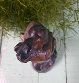 Bronzen beeld The Hugger