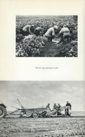 TUSSEN RAS EN GEWAS – N.A.K. - 1957