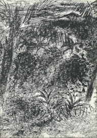 Guru Christiaan – H. WOLDENDORP - 1962