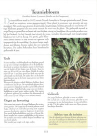 Vergeten groenten zelf kweken en gebruiken – Jean-Baptiste Prades – Nicole Prades - 2006