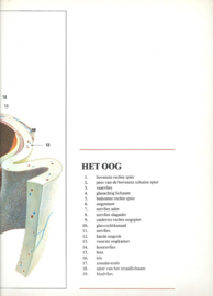 Het Menselijk Lichaam en vele andere boeiende onderwerpen – Gianni Ciceri e.a. – 1978