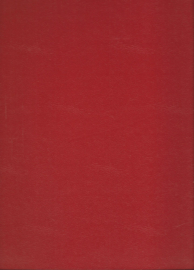 Het Menselijk Lichaam en vele andere boeiende onderwerpen – Gianni Ciceri e.a. – 1978