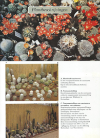 Elseviers Cactussen boek – S.K. BRAVENBOER - 1978