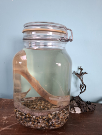 Zeenaalden op sterk water