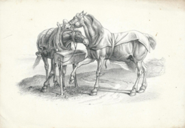set van 3 prenten – naar tekeningen van JOHANN ADAM KLEIN (1792-1875)