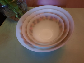 Nest schalen Jena Glass