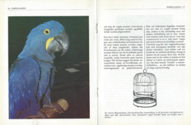 papegaaien – VOLIÈREGIDS IN KLEUR - 1981