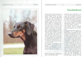 De Dobermann Pincher – BASISGIDS - 1984