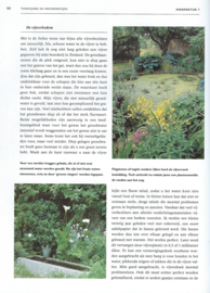 Tuinvijvers en waterpartijen – AREND JAN VAN DER HORST - 1994