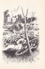 Schakelfout – Henk van Kerkwijk - 1970