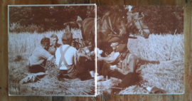 HET VERGETEN LANDLEVEN – INGEBORG WIND - 2007