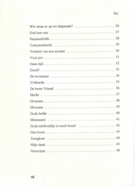 Eeuwige zomer – C. Houterman-Verrijzer - 2000