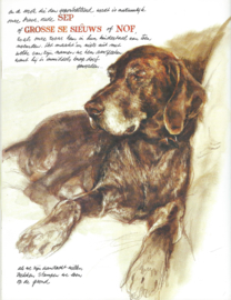 Braaf – Rien Poortvliet - 1983