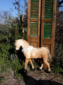 Paardje