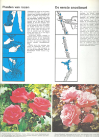 Het nieuwe tuinboek – Arthur Hellyer - 1972