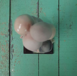 BEELD – clown – porselein – Clown met ballonnen