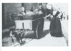De Middelburgers in beeld - door Peter Sijnke, Monique Vaal, Anneke van Waarden - 1989